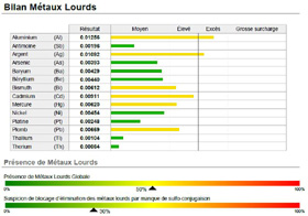 Cliquez pour agrandir